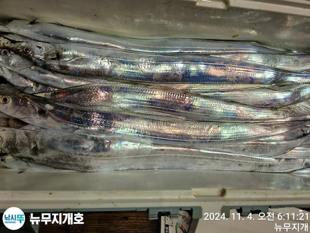 F2558088RC.jpg