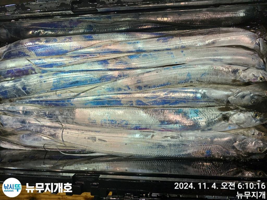 F2558091WX.jpg