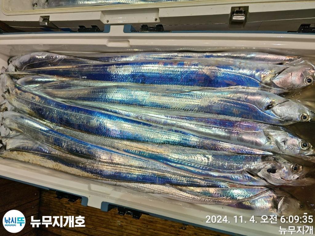 F2558093UB.jpg