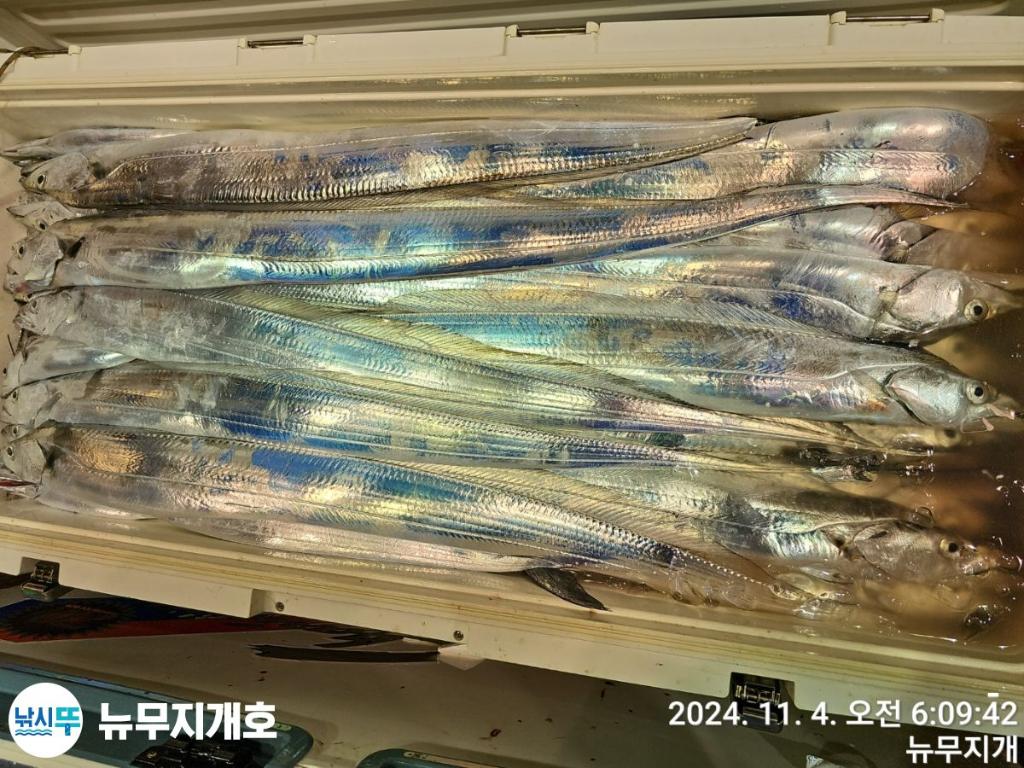 F25580941Z.jpg