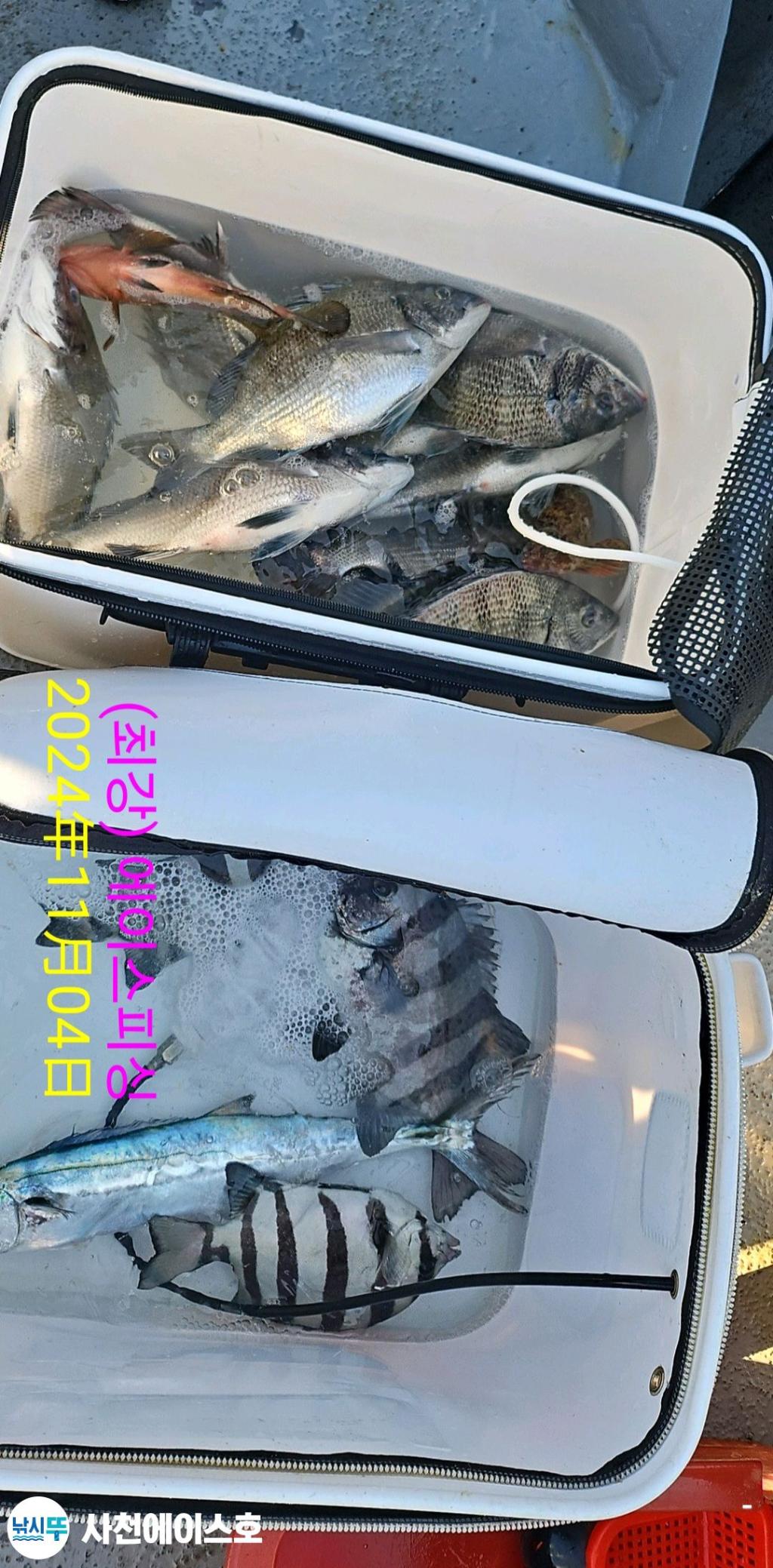 F2558811DY.jpg