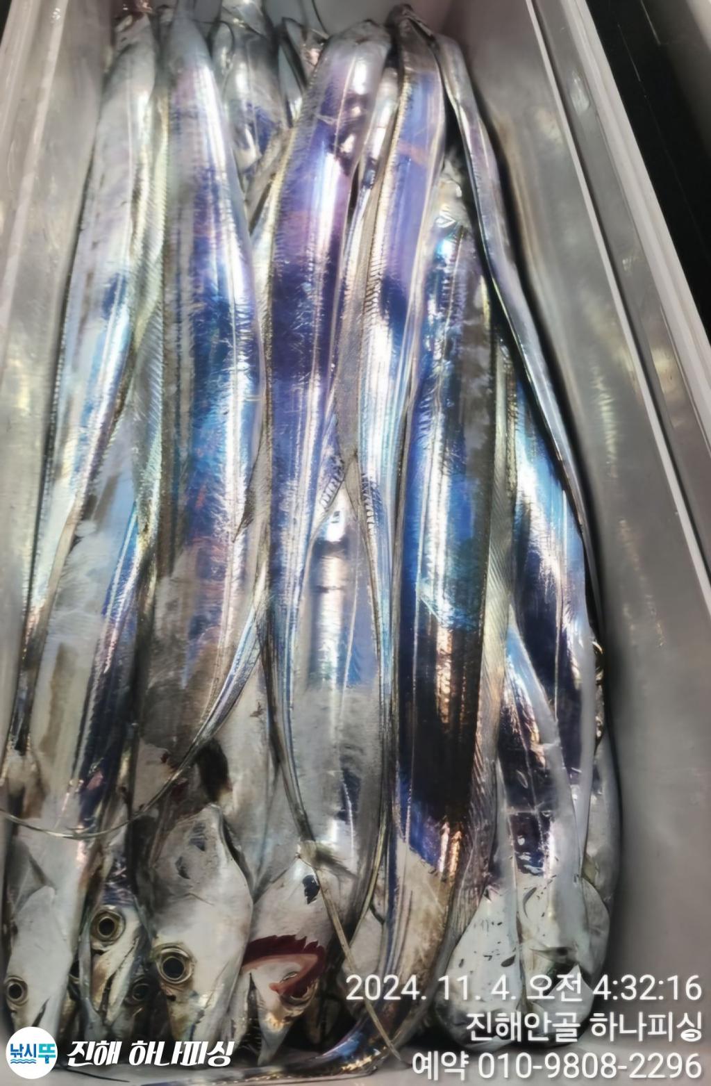 F255890968.jpg
