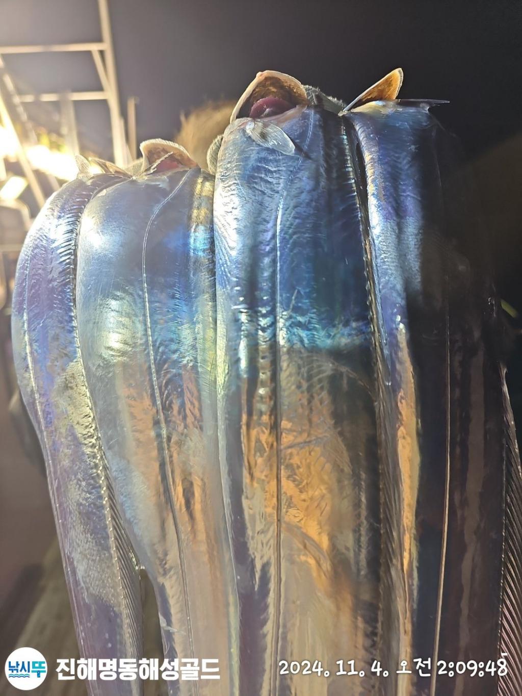 F2559431F4.jpg