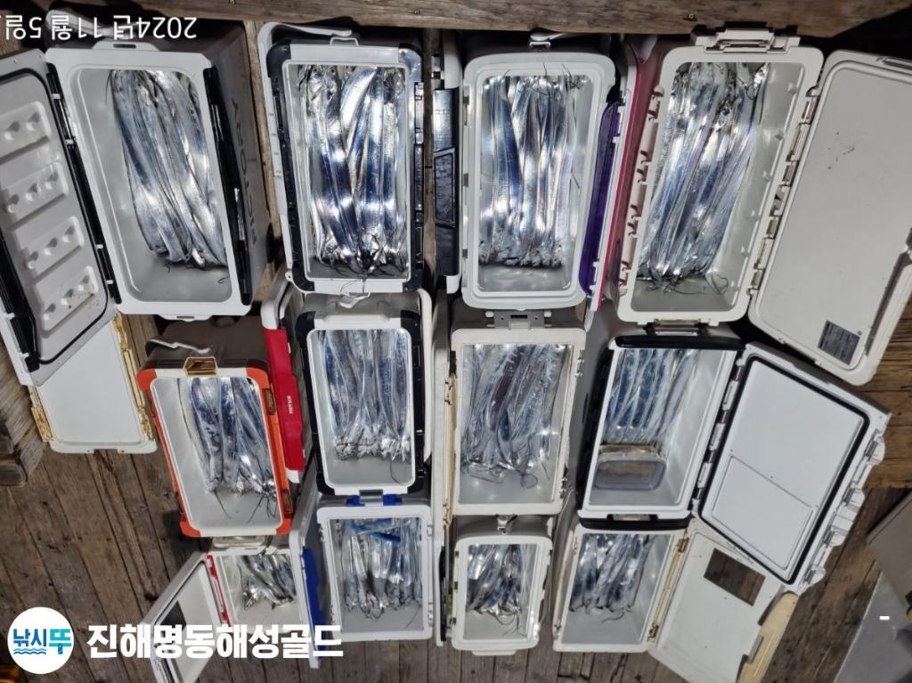 F2559442ZN.jpg
