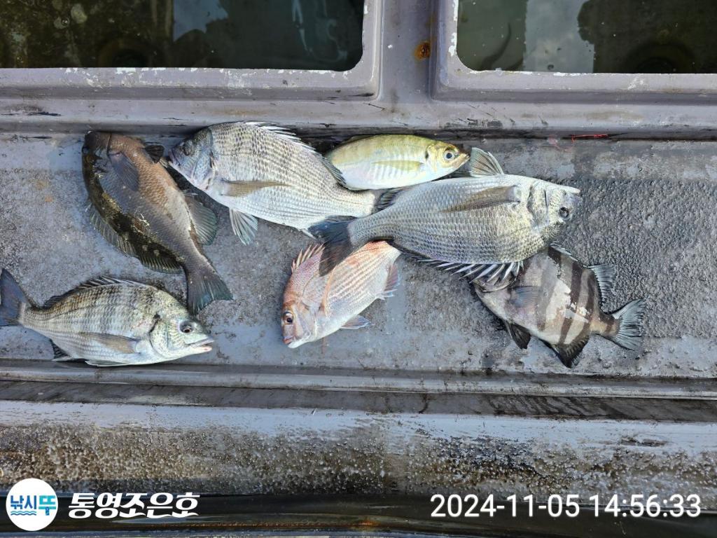 F2559742FD.jpg