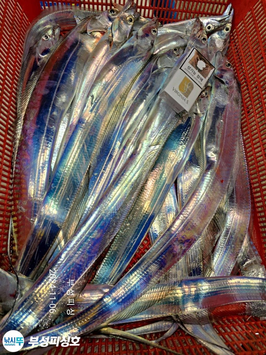F2560053AM.jpg
