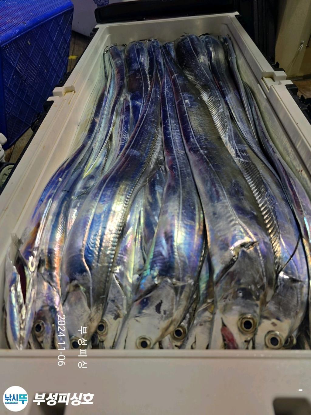 F2560055MQ.jpg