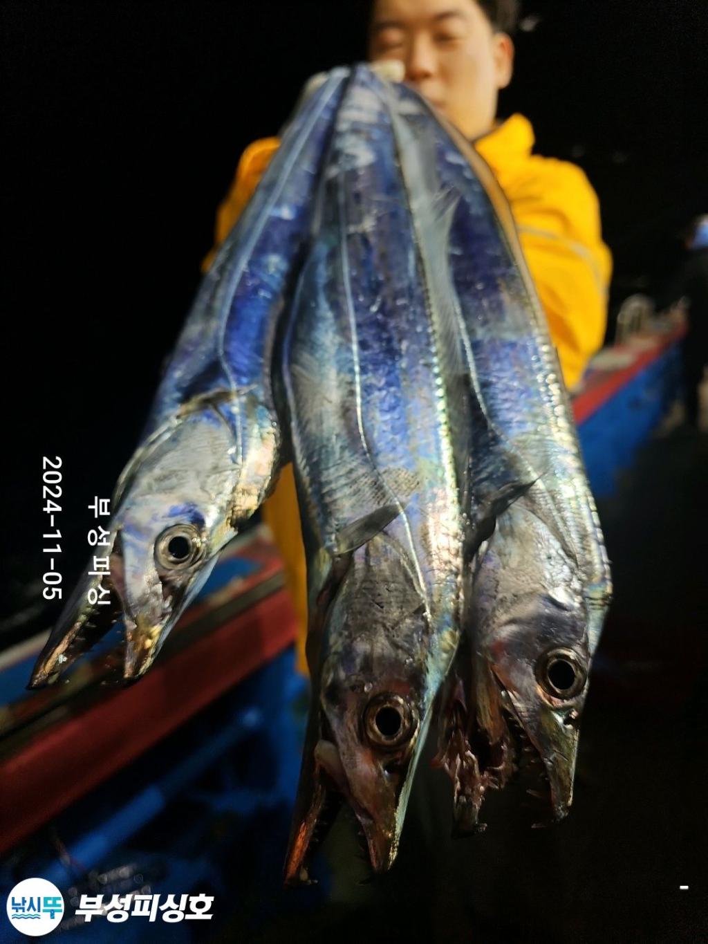 F25600599Y.jpg