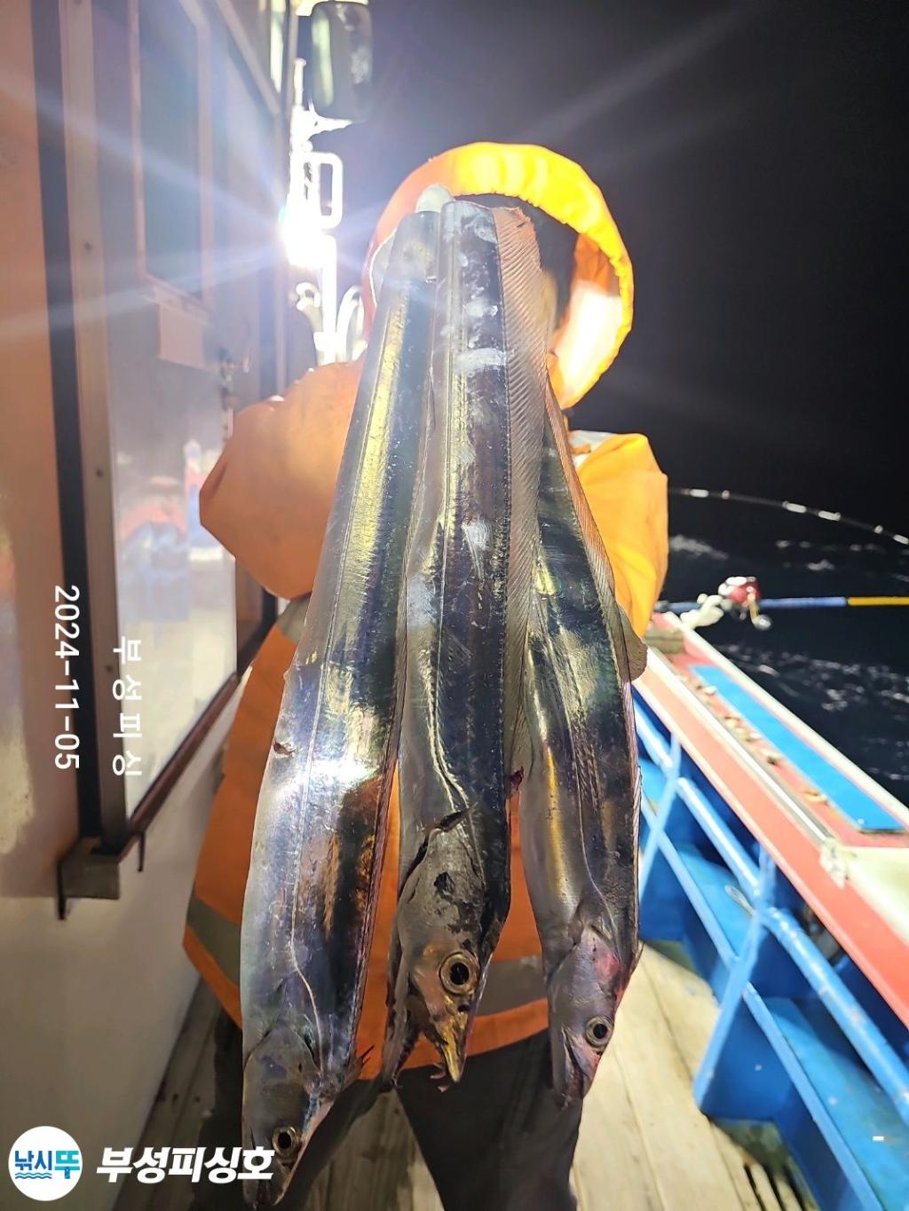 F2560065EY.jpg