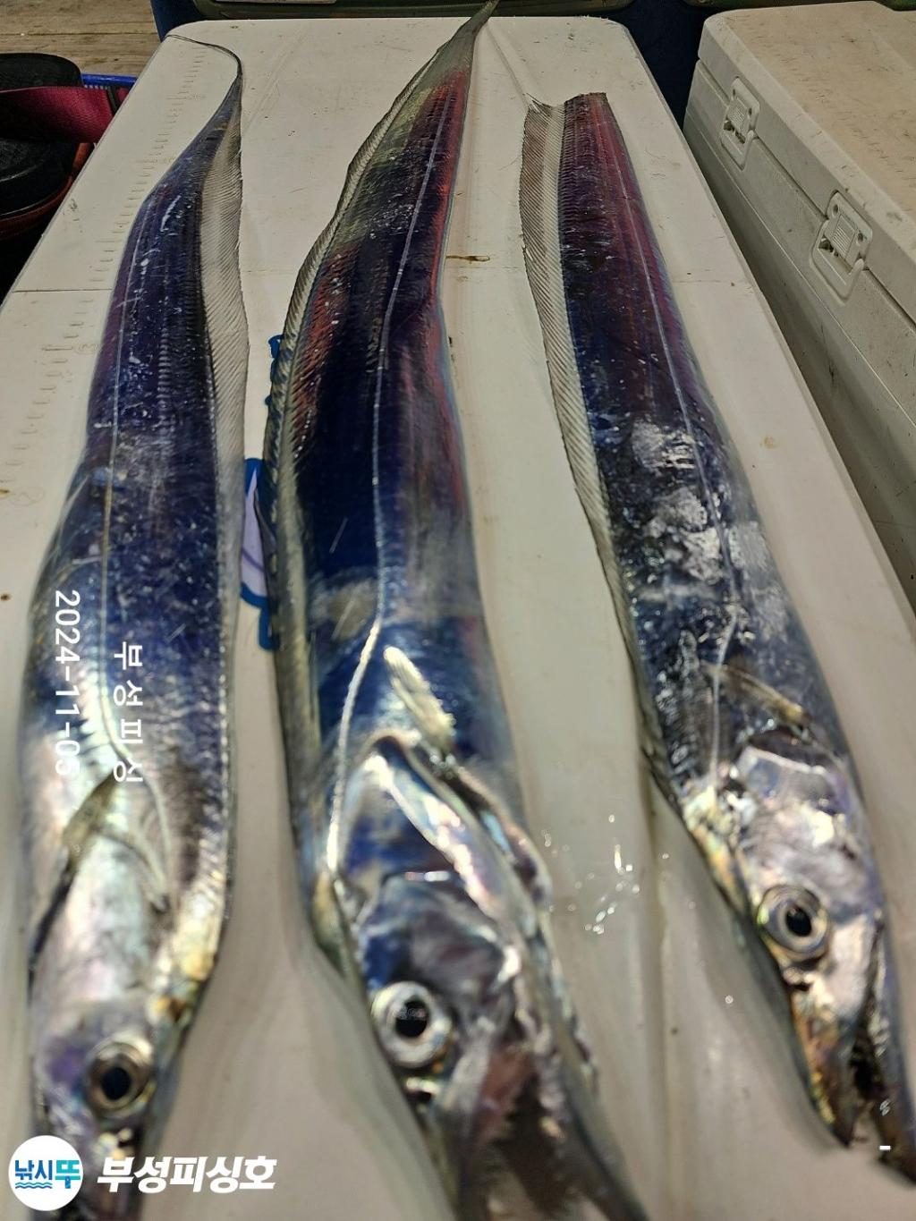 F2560072J6.jpg