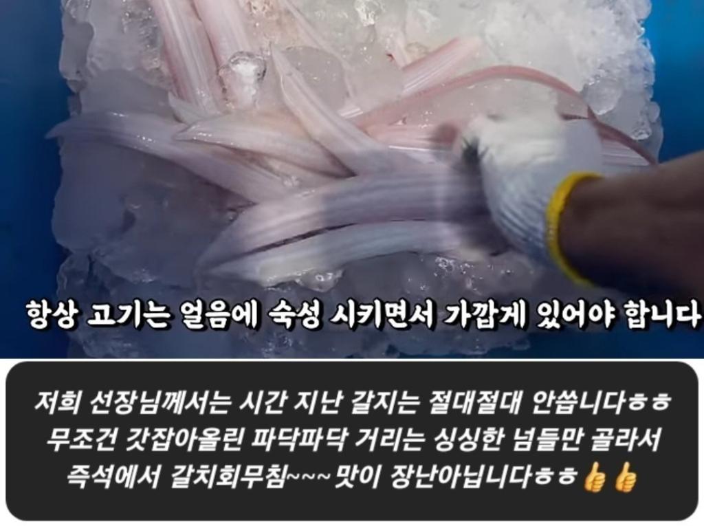 갈치, 삼포대교낚시, 낚시뚜