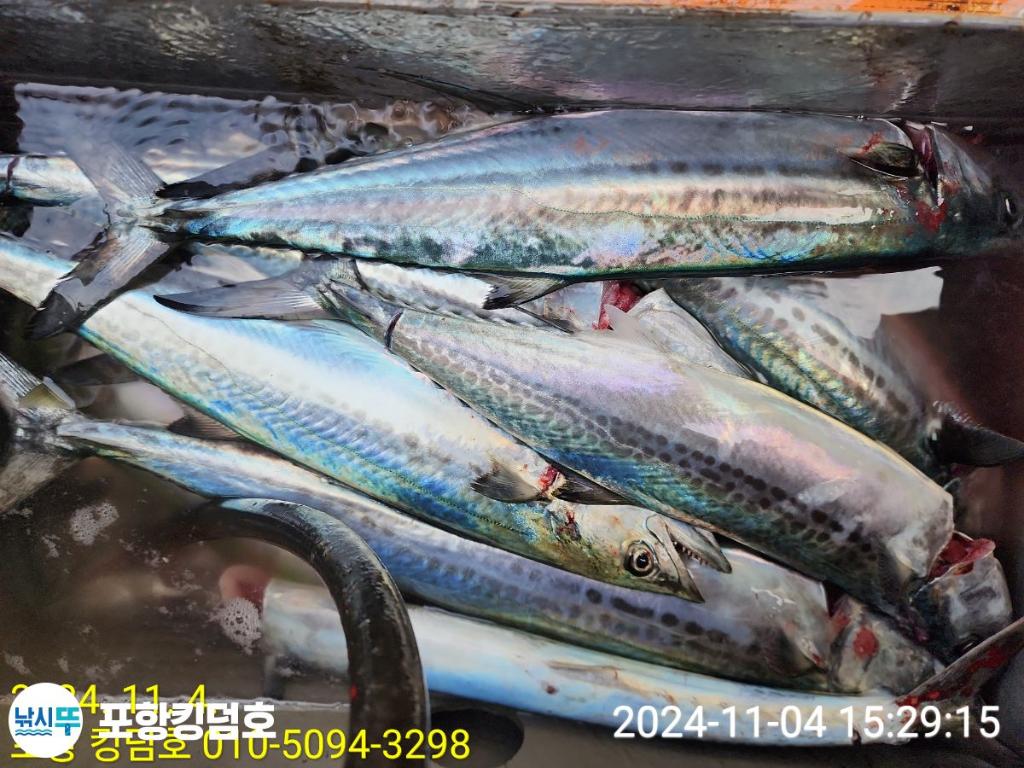 F2560536QO.jpg