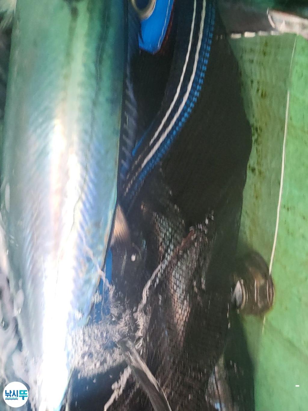 F256057045.jpg