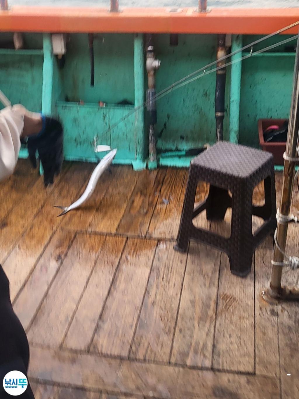 F256057167.jpg