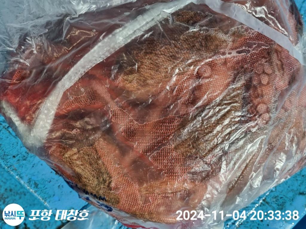 F2560587TM.jpg