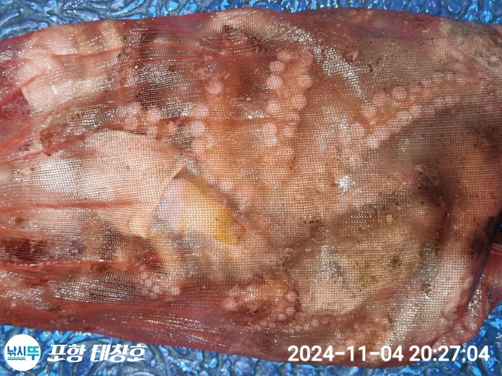 F2560588TW.jpg
