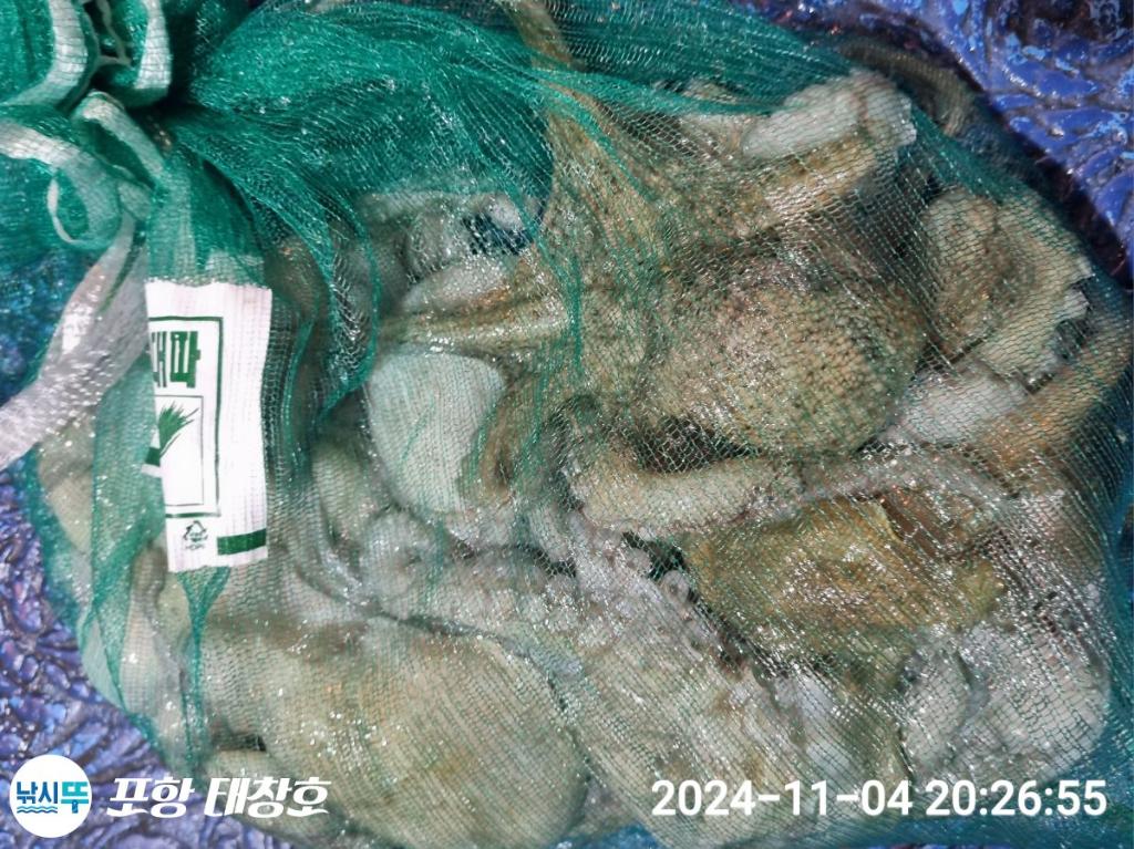 F25605894R.jpg