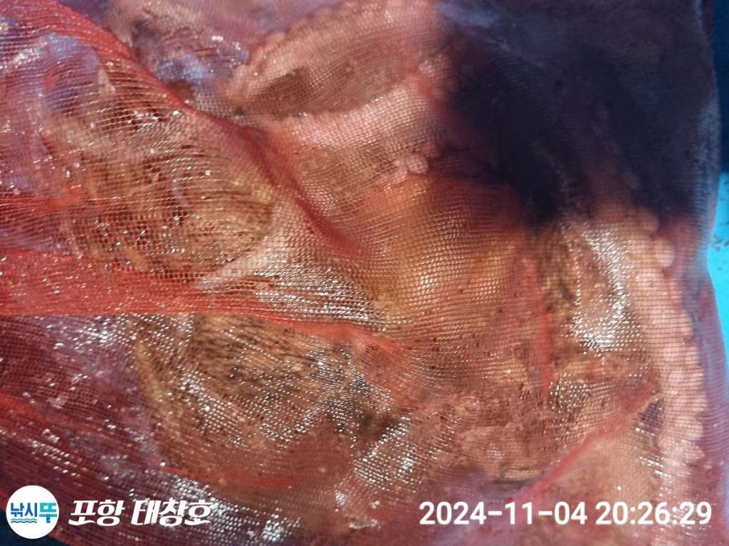 F256059085.jpg