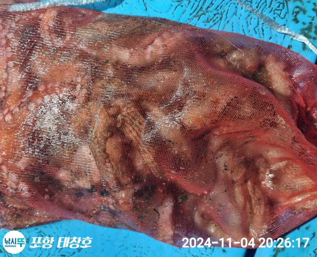 F2560591AL.jpg