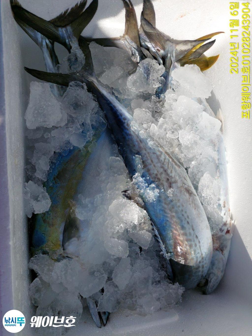 F25607372C.jpg