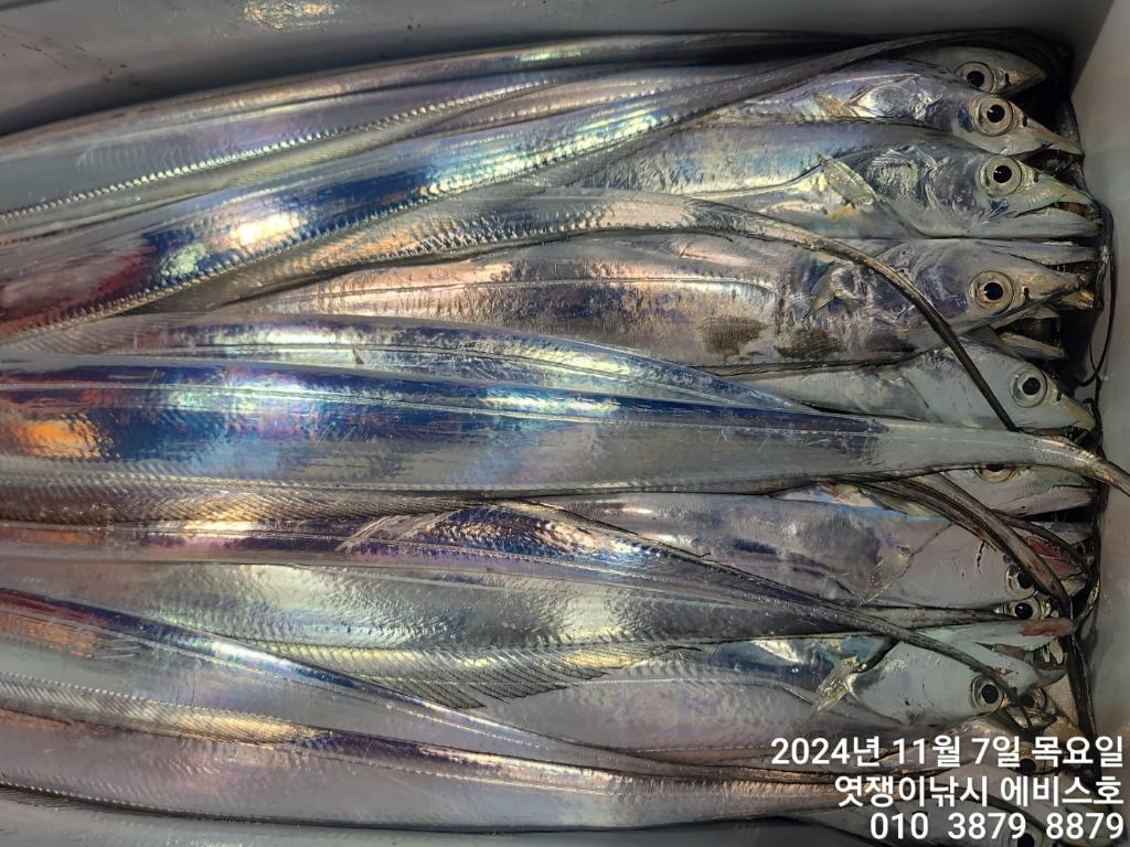 F2561092ZW.jpg