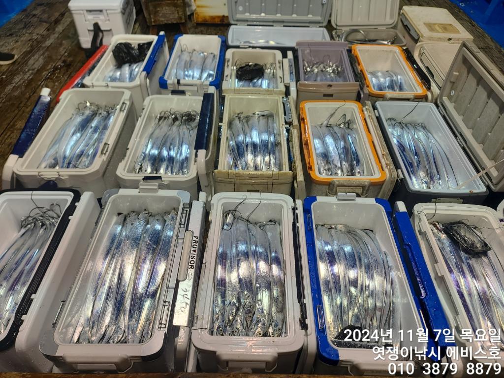 F2561098XC.jpg