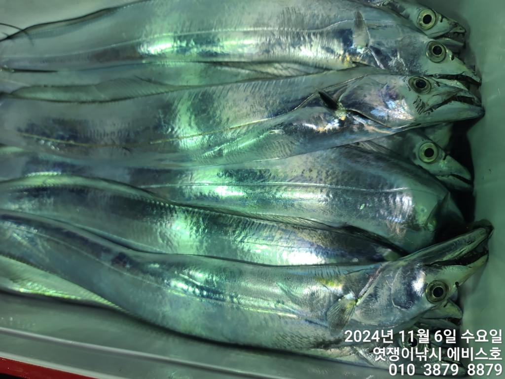 F2561206NL.jpg