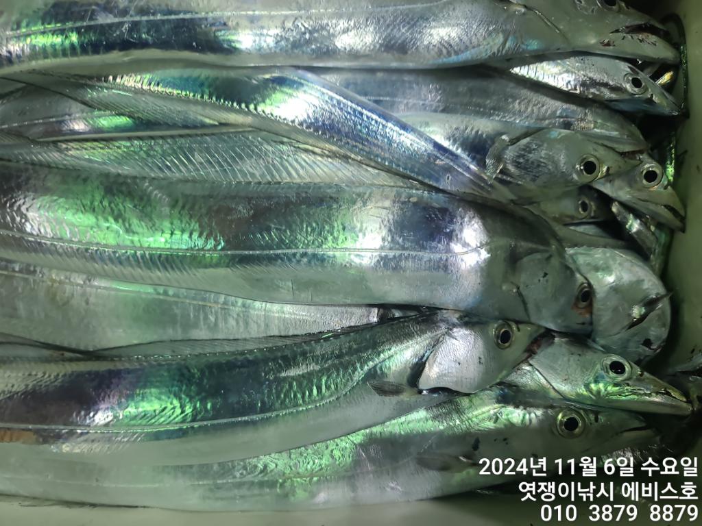 F2561210BH.jpg