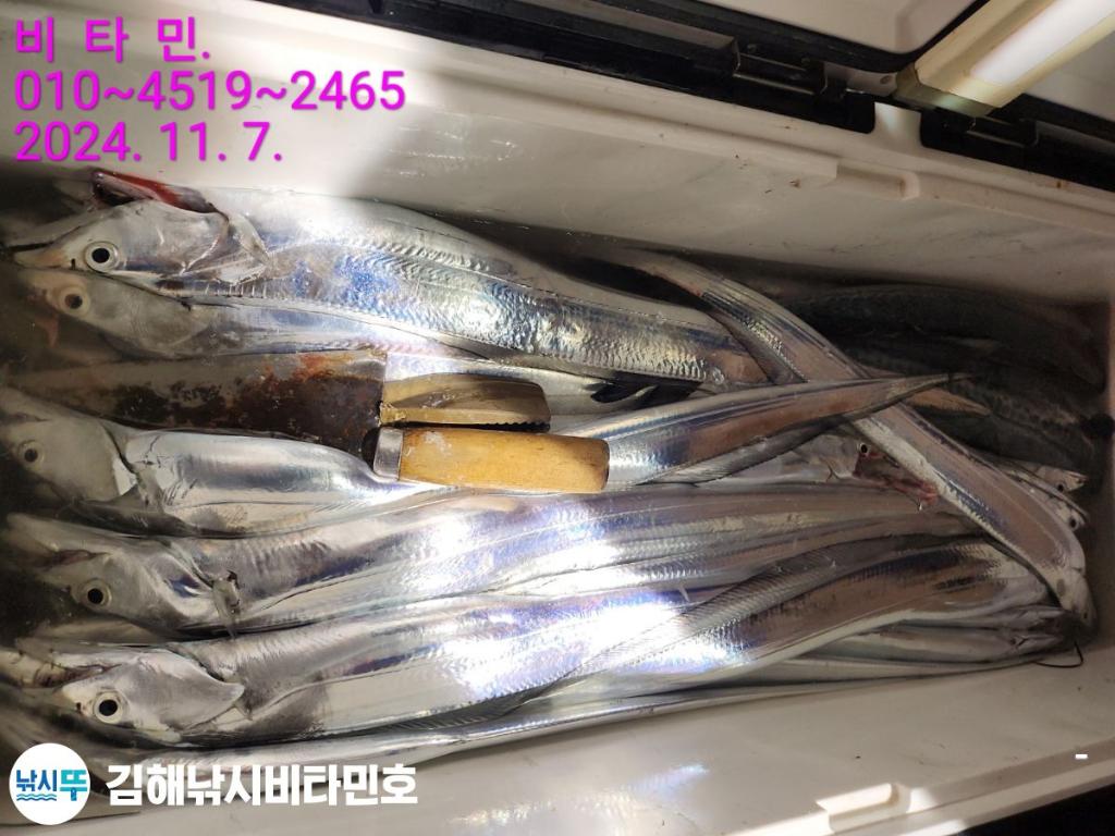 F2561370QX.jpg
