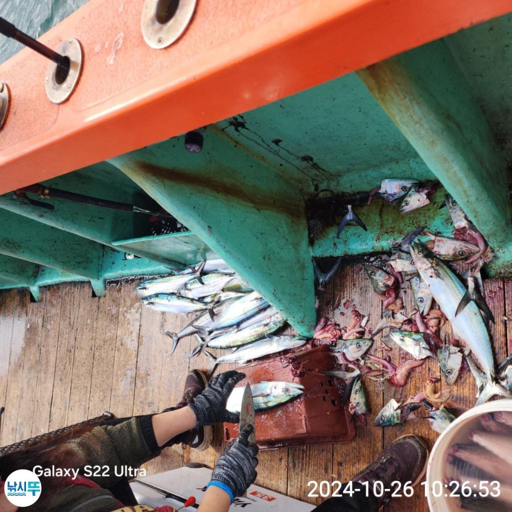 F2561681TO.jpg