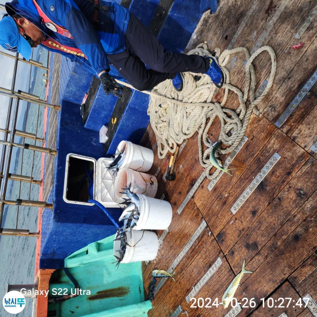 F25616881O.jpg