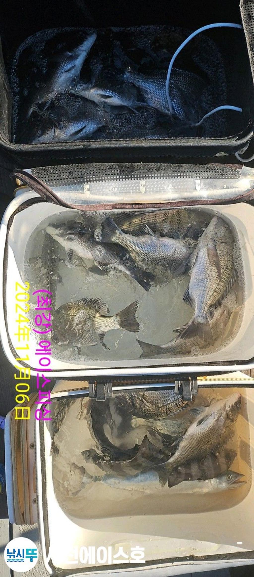 F2561702FU.jpg