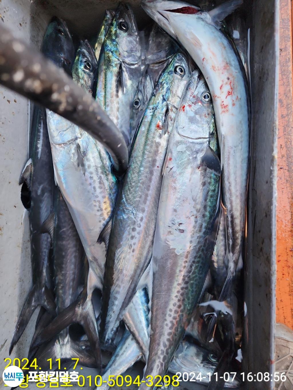 F2561744Z0.jpg
