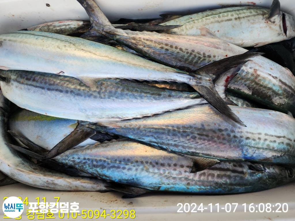 F25617491R.jpg