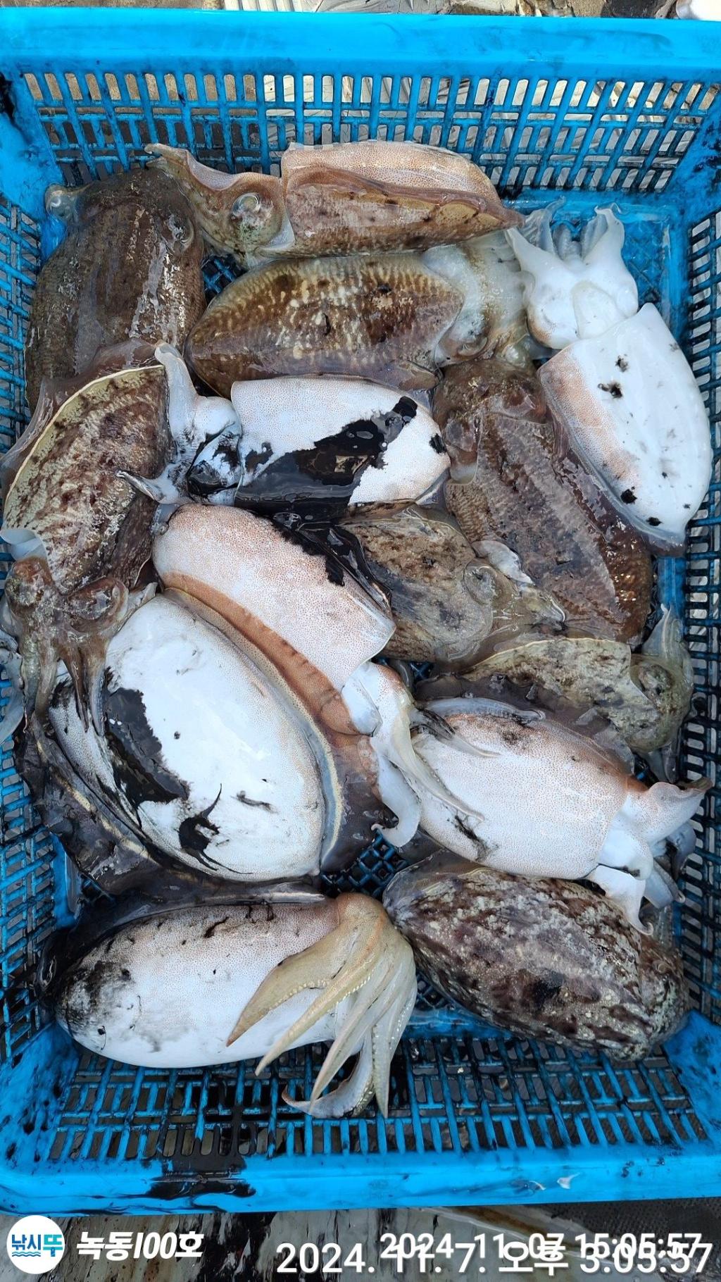 F2561785BU.jpg
