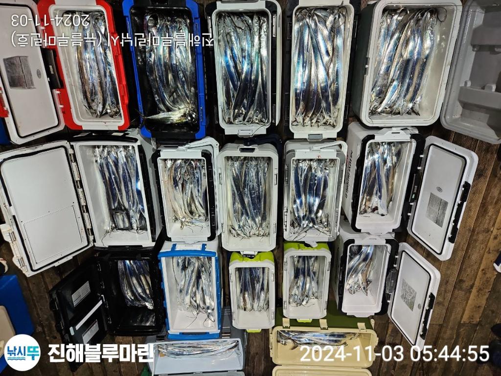 F2562168H1.jpg