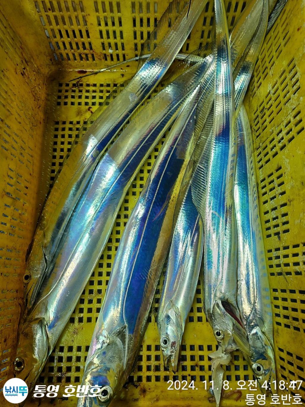 F2562221MV.jpg