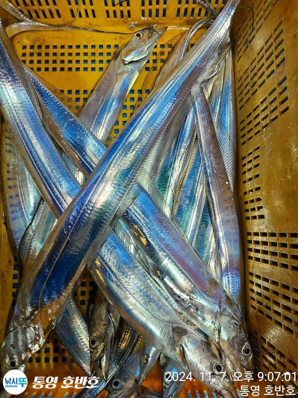 F2562229XN.jpg
