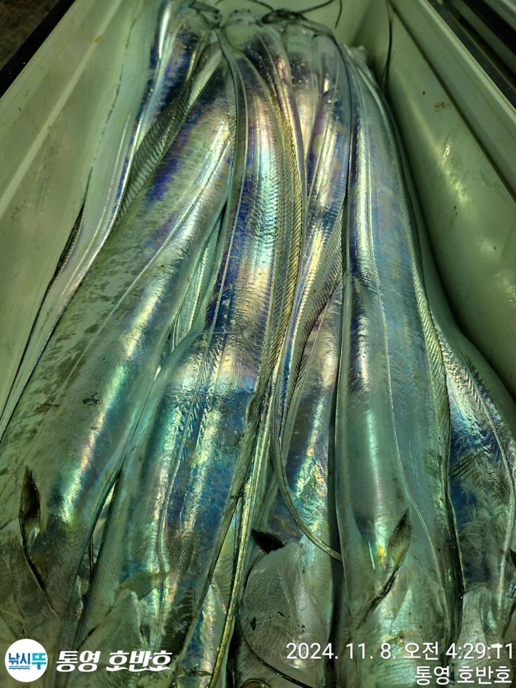 F2562233CE.jpg