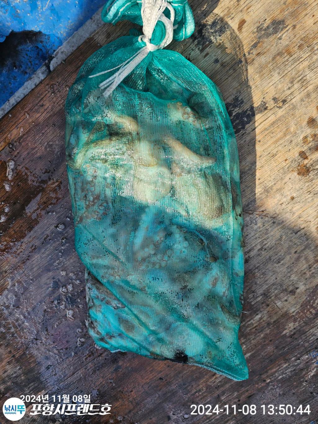 F2562554R4.jpg