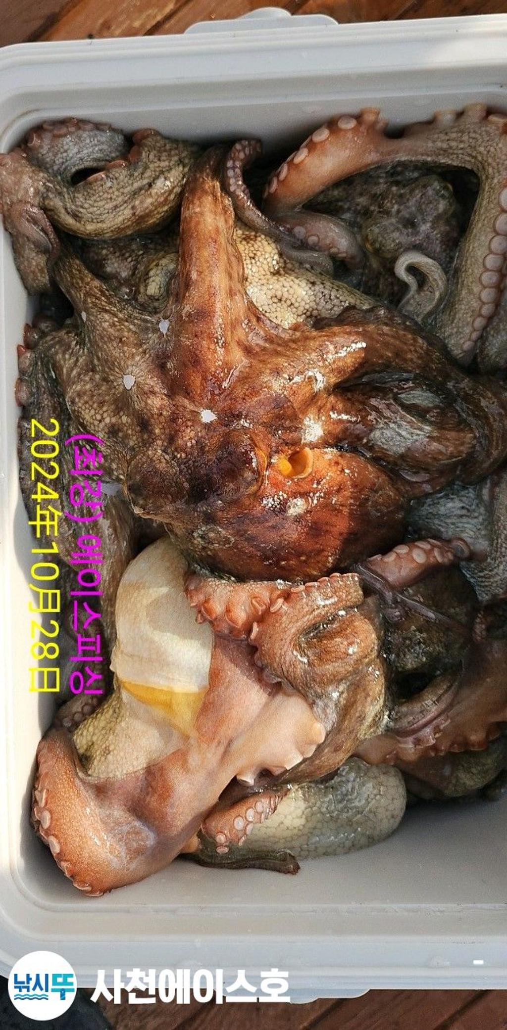 F2562617HZ.jpg