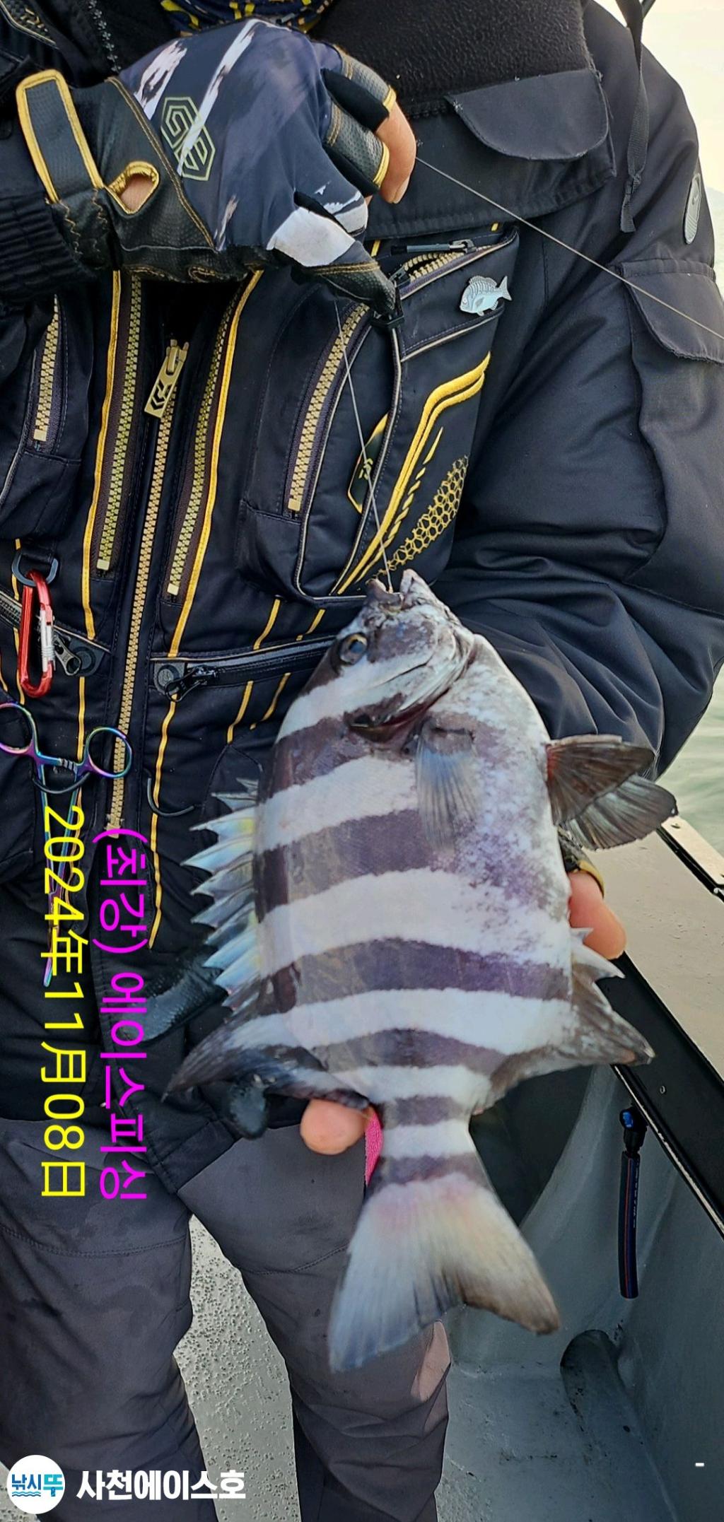 F2562618KN.jpg