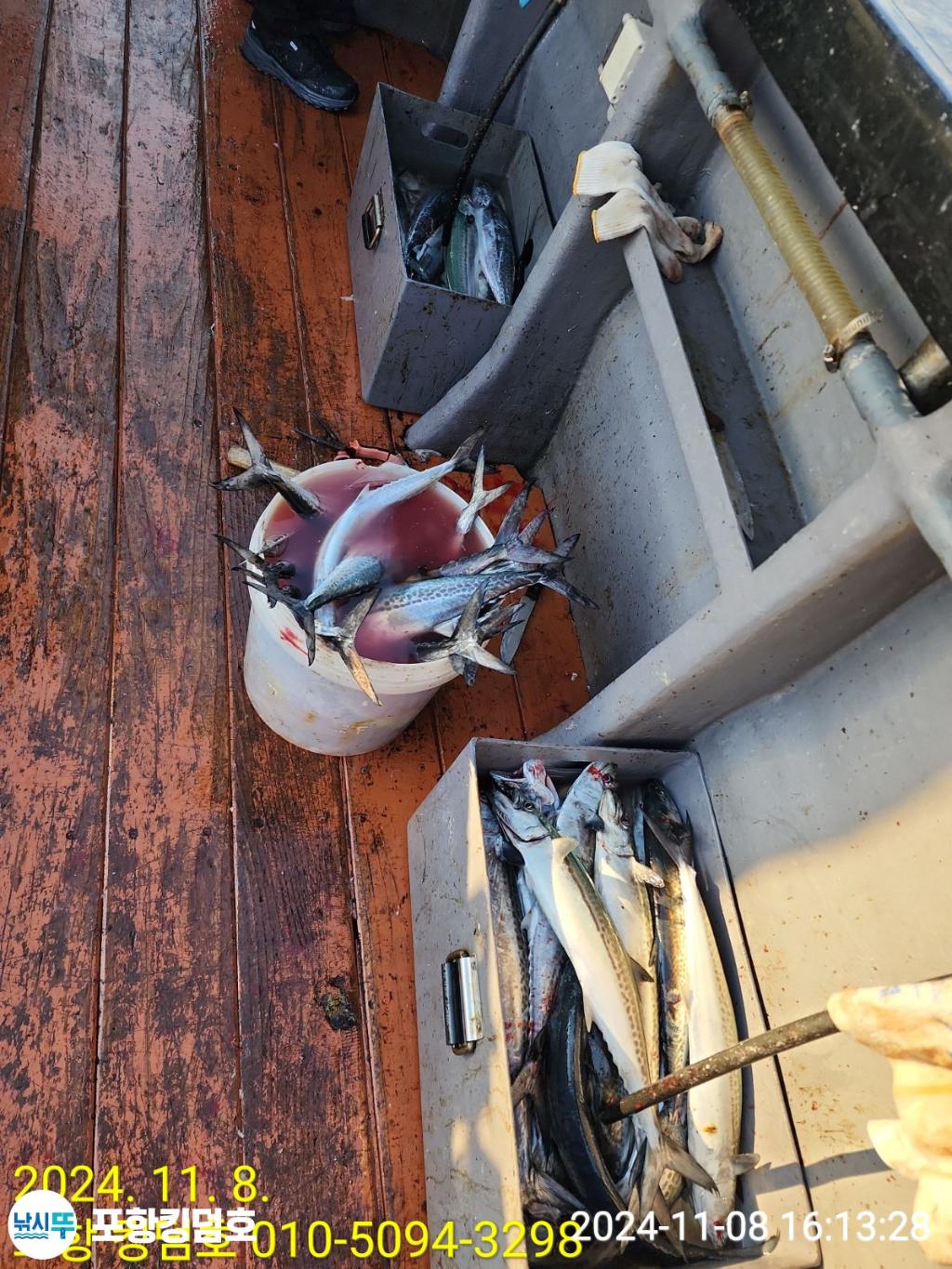 F2562733NW.jpg