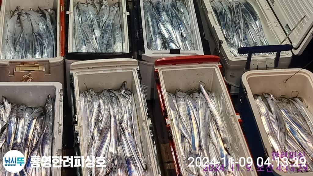 F2563004NK.jpg