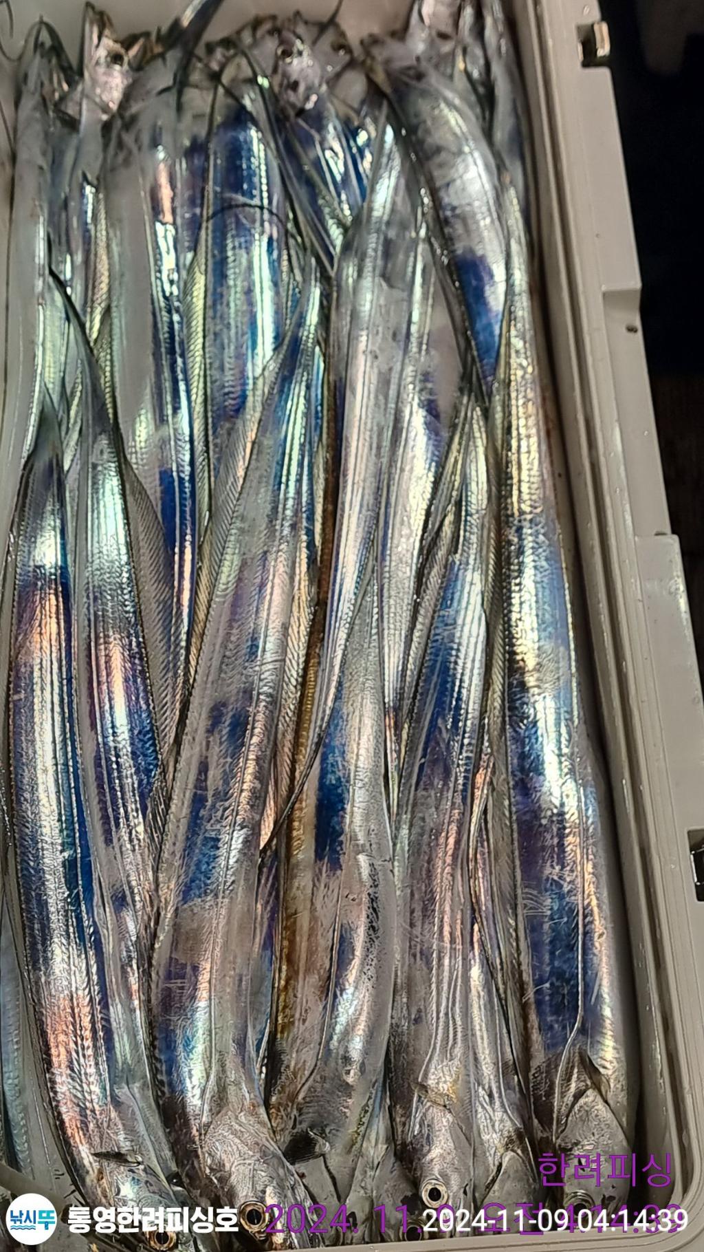 F2563012C3.jpg
