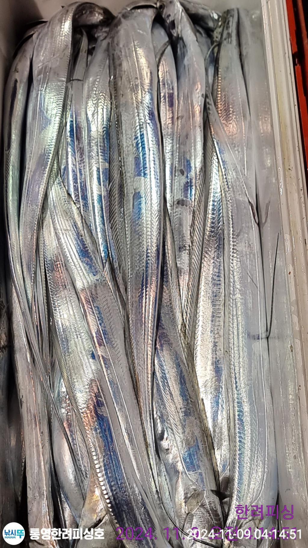 F2563015MW.jpg