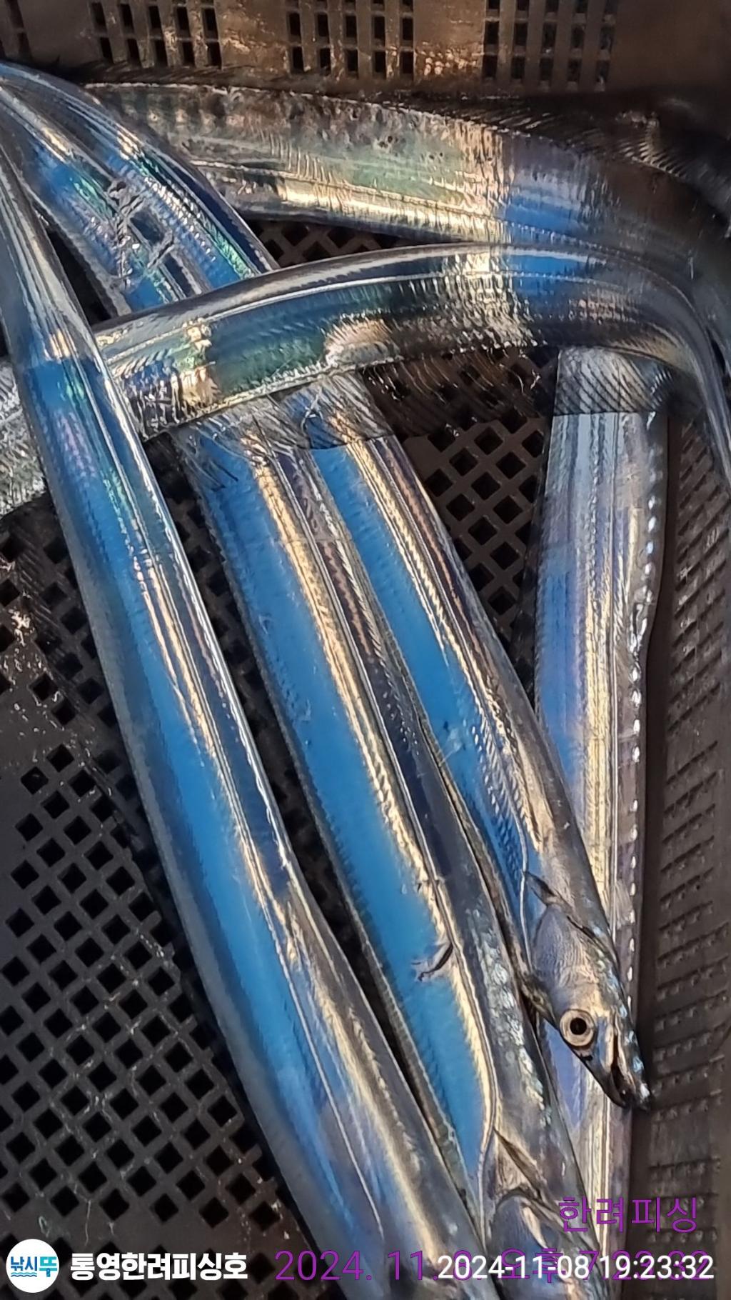 F2563020QW.jpg