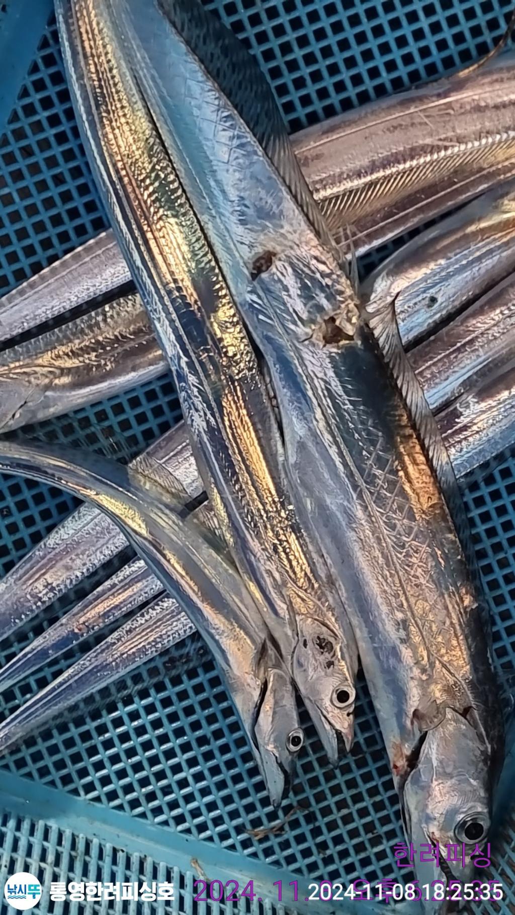 F256302311.jpg