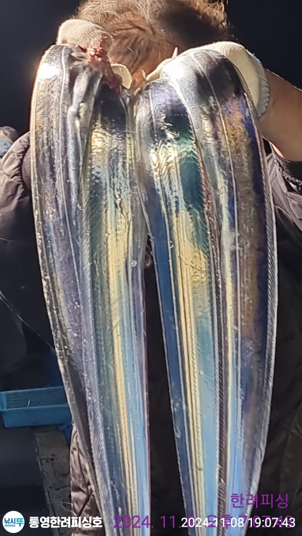 F25630291Y.jpg