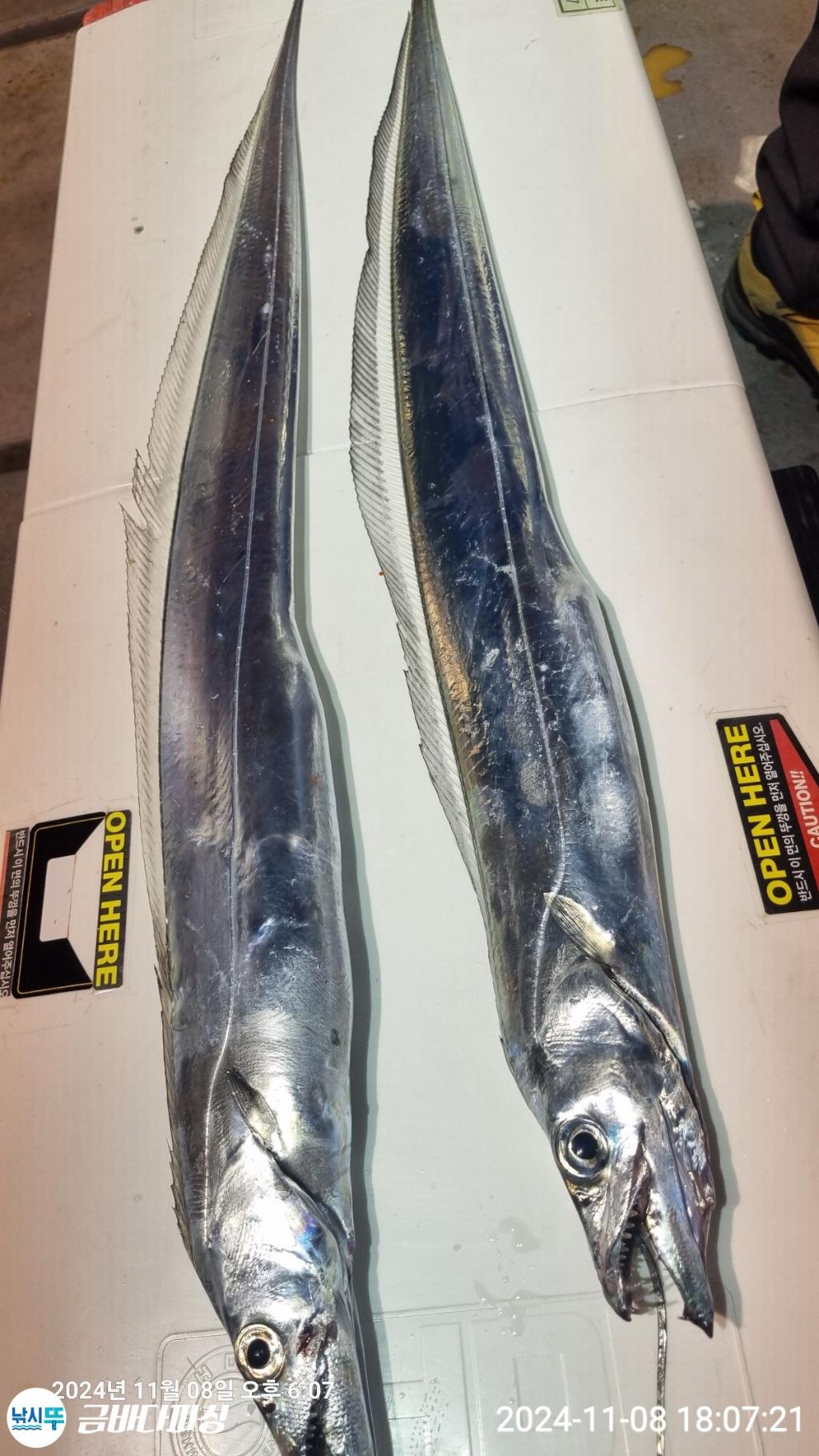 F2563036P0.jpg